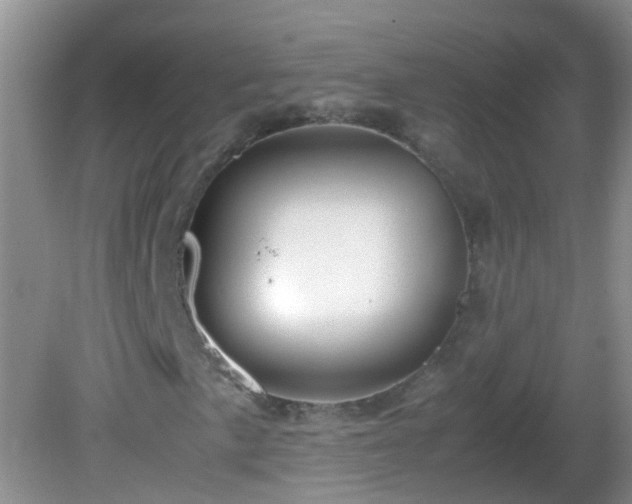 X0000081611057200701221156