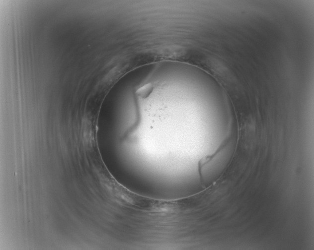 X0000081611058200701221156