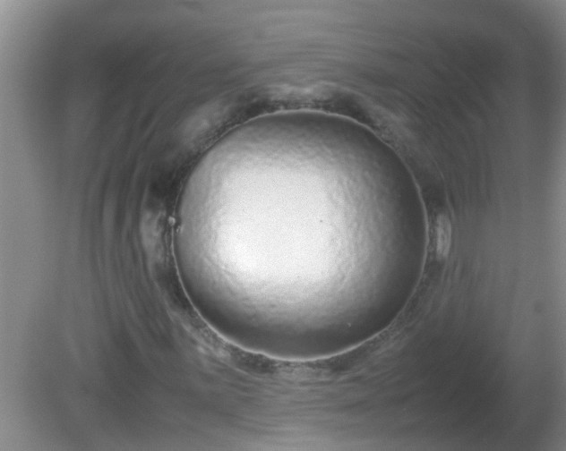 X0000081611059200701221156