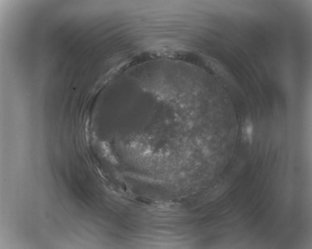 X0000081611060200701221156