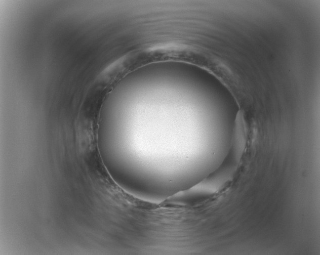 X0000081611062200701221156