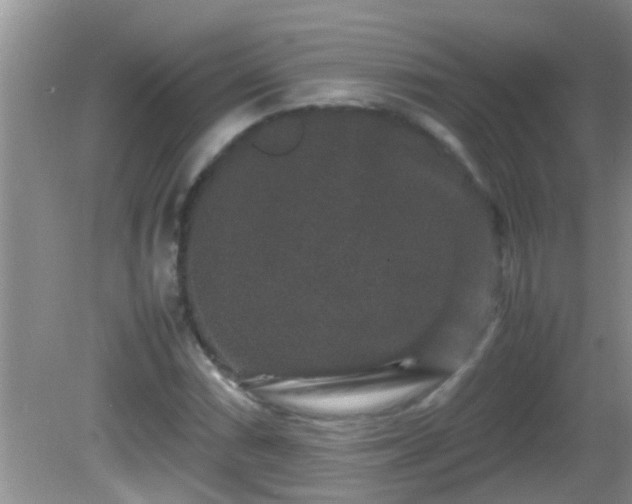 X0000081611066200701221156