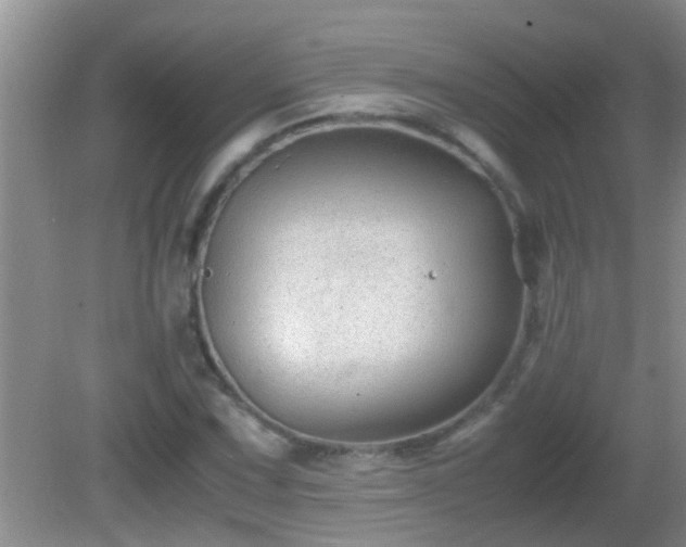 X0000081611067200701221156