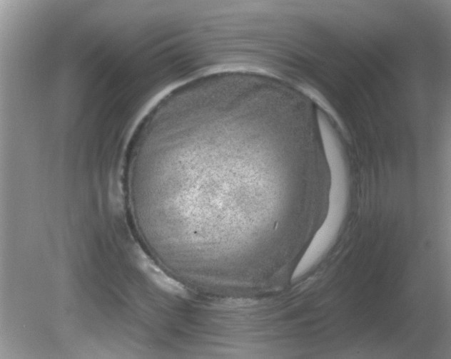 X0000081611068200701221156