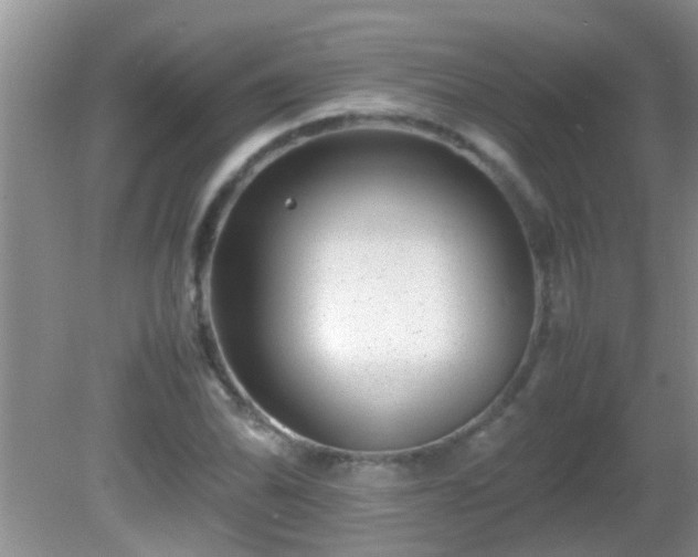 X0000081611070200701221156