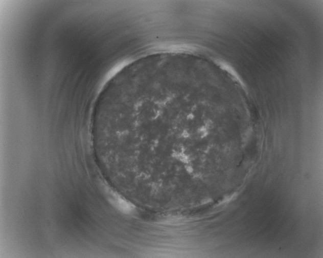 X0000081611071200701221156