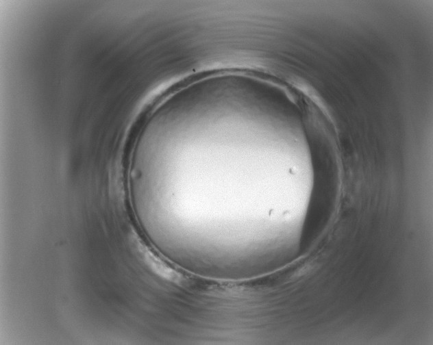 X0000081611072200701221156