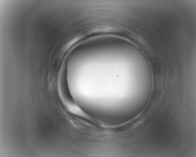 X0000081611073200701221156