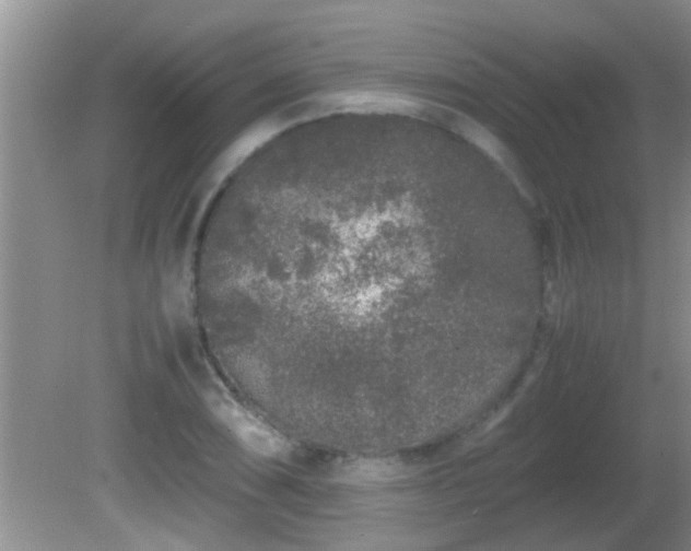 X0000081611074200701221156