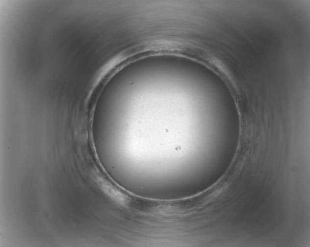 X0000081611075200701221156