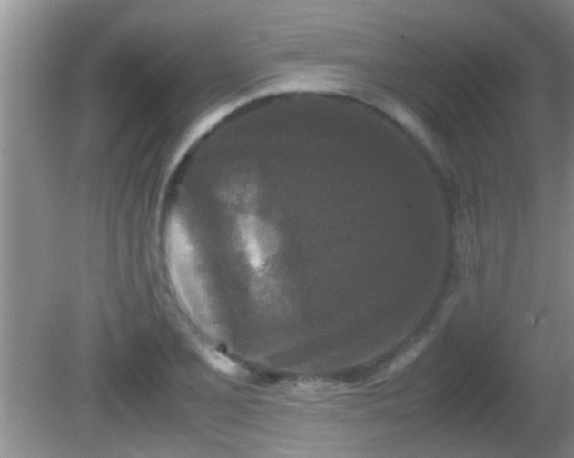 X0000081611077200701221156