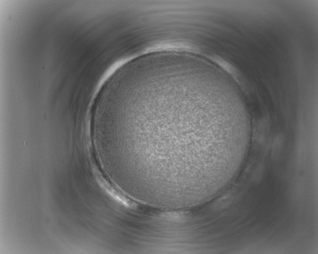 X0000081611078200701221156