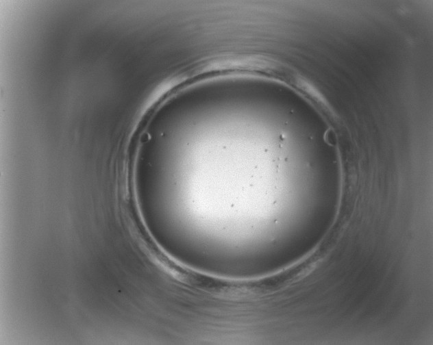 X0000081611079200701221156