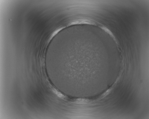 X0000081611081200701221156