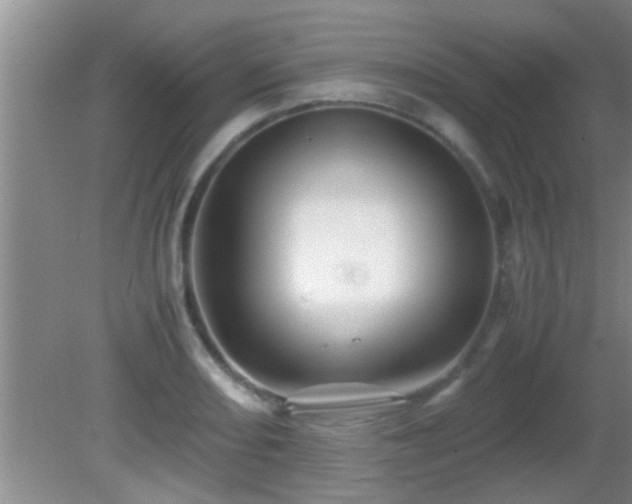 X0000081611082200701221156