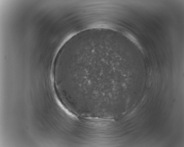 X0000081611084200701221156