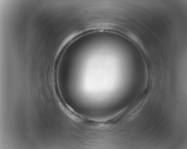 X0000081611085200701221156