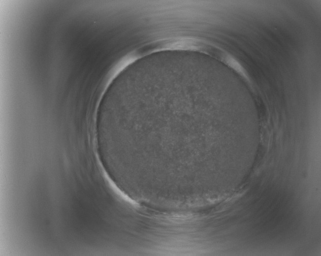 X0000081611087200701221156