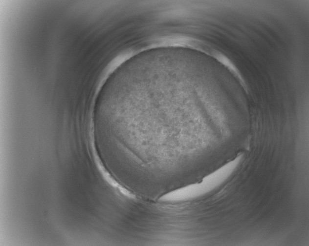 X0000081611088200701221156