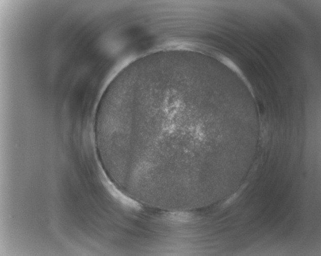 X0000081611090200701221156