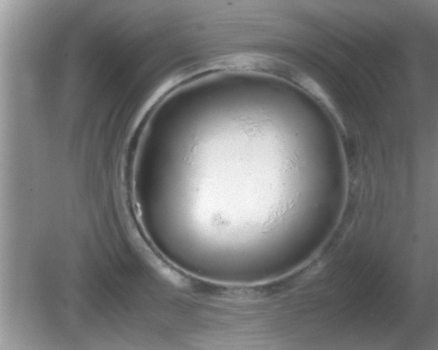 X0000081611091200701221156