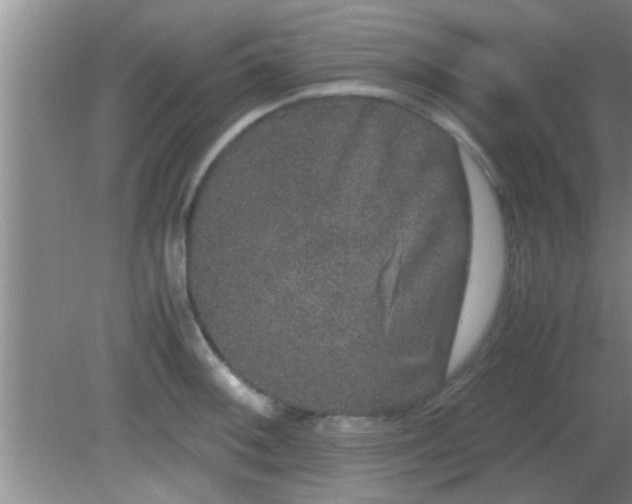 X0000081611092200701221156