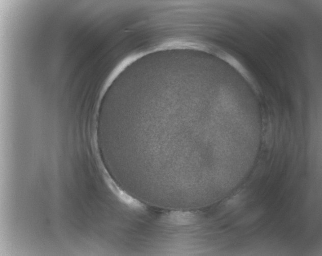 X0000081611094200701221156