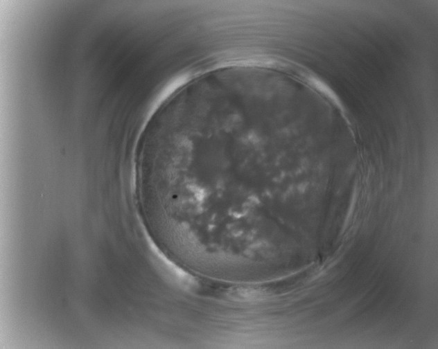 X0000081611095200701221156