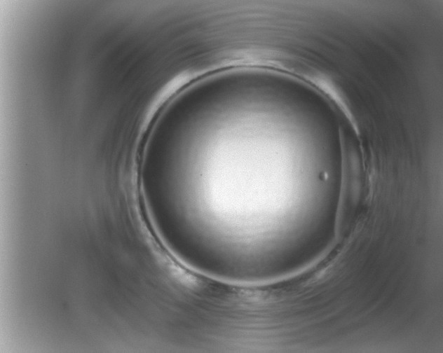 X0000081611096200701221156