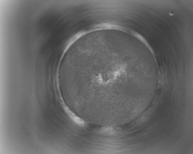 X0000081611098200701221156