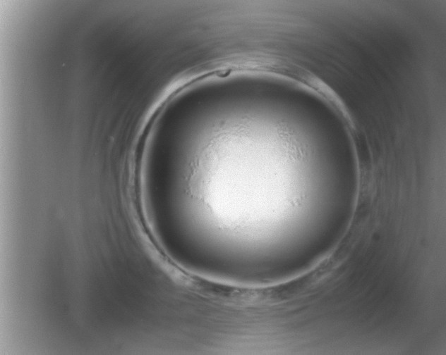 X0000081611099200701221156