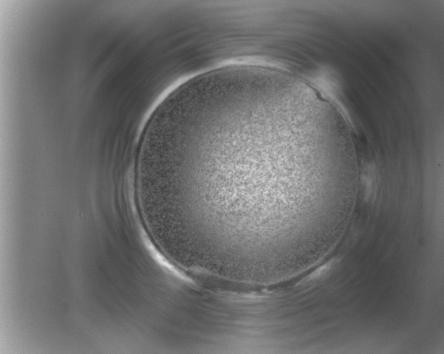 X0000081611100200701221156