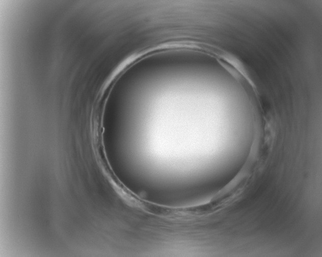 X0000081611101200701221156