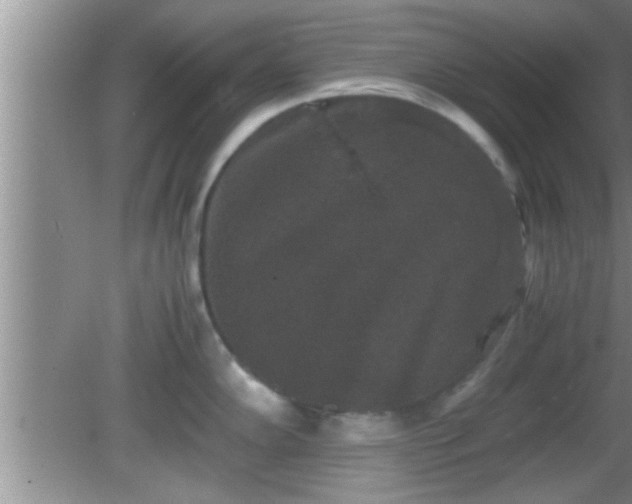 X0000081611102200701221156