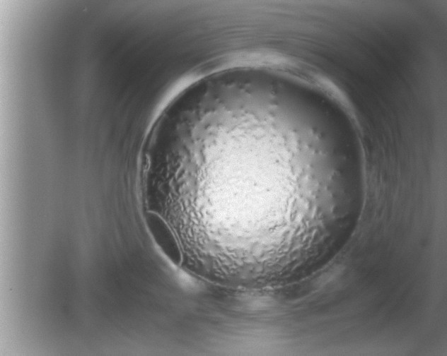 X0000081611103200701221156