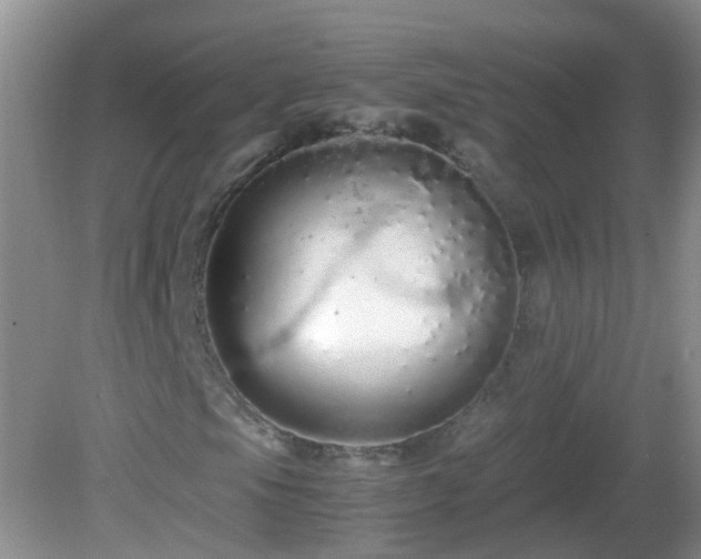 X0000081611105200701221155