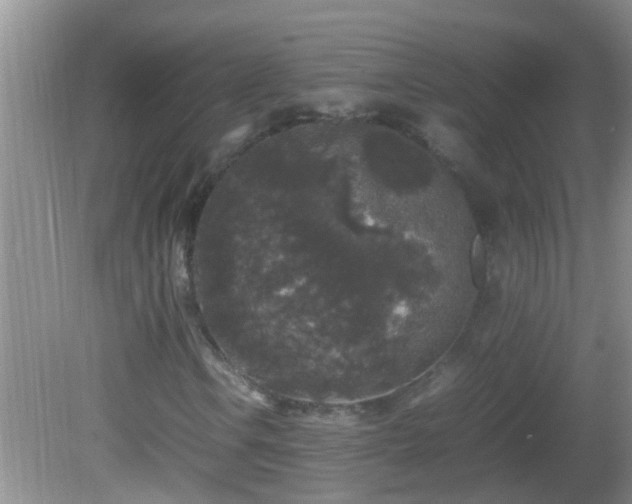 X0000081611106200701221155