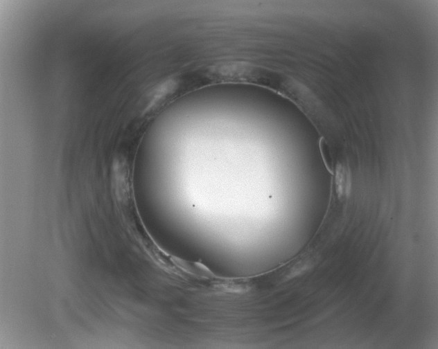 X0000081611107200701221155