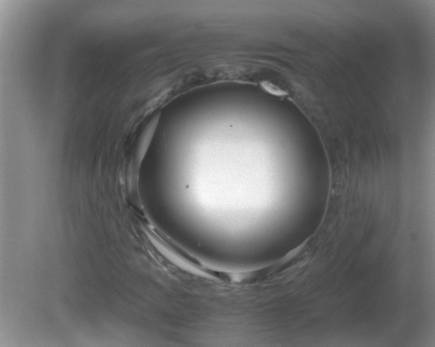 X0000081611109200701221155