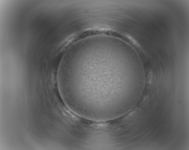 X0000081611110200701221155