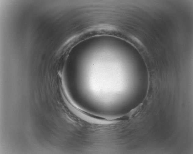 X0000081611112200701221155