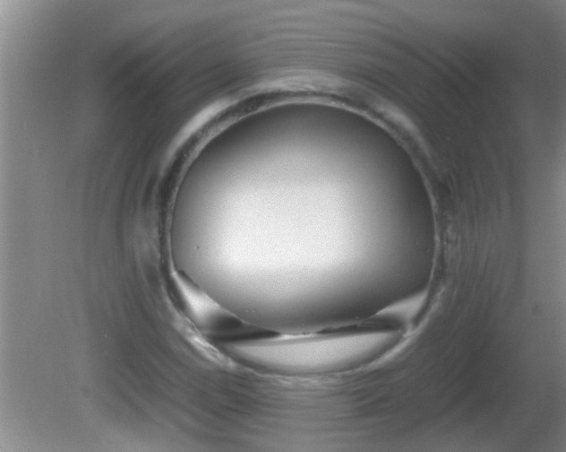 X0000081611114200701221155