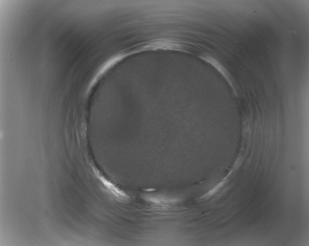 X0000081611115200701221155