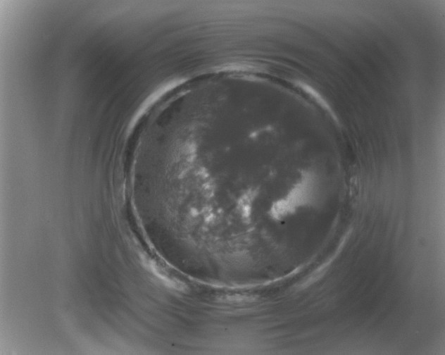 X0000081611117200701221155