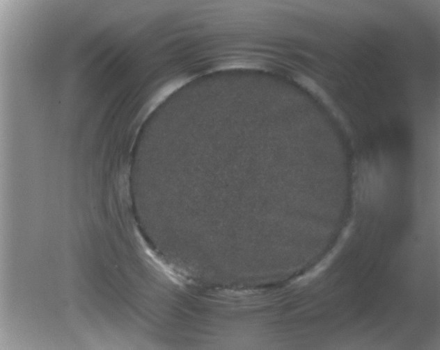 X0000081611121200701221155