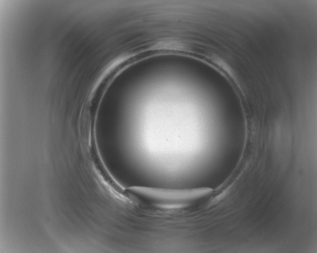 X0000081611123200701221155