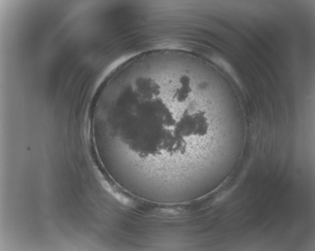 X0000081611125200701221155