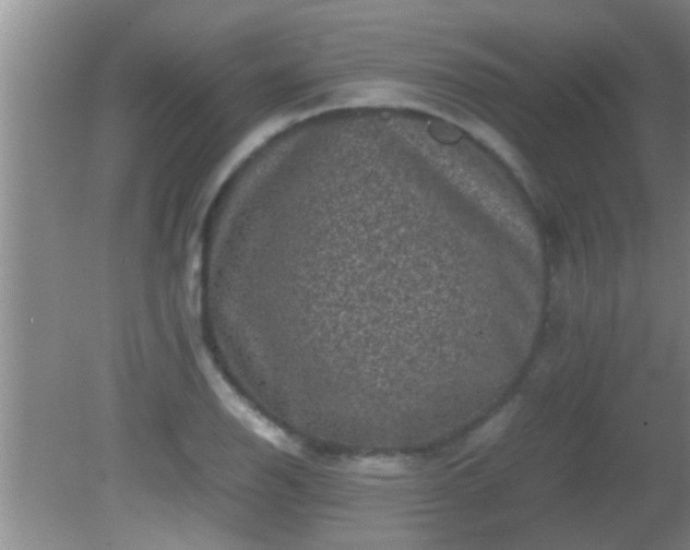 X0000081611126200701221155