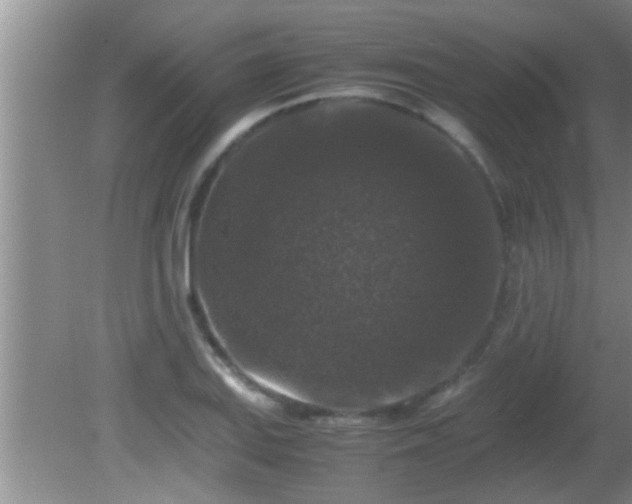 X0000081611127200701221155