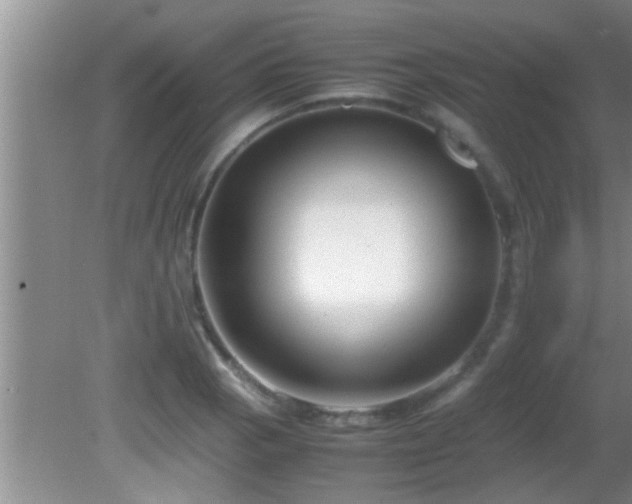 X0000081611129200701221155